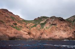 Le rocce del litorale di Scandola: il colore è rosso vulcano - A causa della loro origine vulcanica, le falesie che delimitano il litorale della riserva di Scandola, si presentano di ...