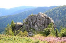 Affioramento roccioso sui monti  Vosgi, siamo vicino a Munster in Alsazia - © LENS-68 / Shutterstock.com