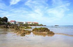 Rocce sulla spiaggia di Noja, Spagna. Siamo nella Comunità Autonoma della Cantabria, comarca di Trasmiera. L'esteso arenile di Noja è protetto da una barriera di isolotti rocciosi.



 ...