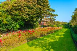 Rose rosse nel giardino di un parco di Kampen, isola di Sylt, Germania. Questa bella cittadina dell'isola è nota per la sua Scogliera Rossa e per il suo stile di vita.



