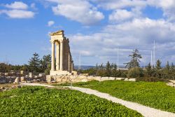 Rovine del santuario di Apollo Hylates nei pressi di Limassol, Cipro. Questo antico santuario si trova a circa 2,5 chilometri a ovest della città greca di Kourion. Apollo Hylates, dio ...