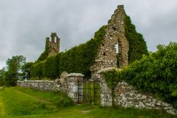 Le rovine della chiesa di Clomantagh nei pressi di Kilkenny, Irlanda, ricoperte da vegetazione.
