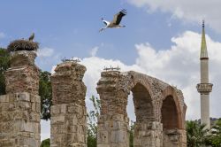 Rovine dell'acquedotto romano a Selcuk, Turchia, con nidi di cicogne. I resti principali dell'acquedotto si trovano all'estremità occidentale di Namik Kemal Caddesi dove vivono ...