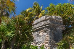 Rovine dell'antica città Maya di Xcaret, Messico. Le prime costruzioni di questo importante sito archeologico risalirebbero al periodo fra il 200 e il 600 d.C.; la maggior parte però ...