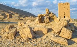 Il sito archeologico di Palmira era considerato uno dei più spettacolari del medioriente. Ora questo patrimonio dell'umanità è minacciato dalle comtinue battaglie tra ...