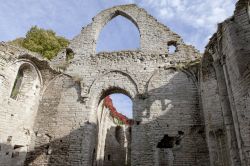 In epoca medievale a Visby vi erano più chiese che in qualunque altra città della Svezia. Le rovine di molte di quelle chiese oggi sono visitabili dal pubblico - Foto © Multiart ...