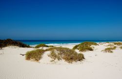 Saadiyat Beach: è considerata la spiaggia più bella della capitale degli Emirati Arabi Uniti. Si trova su Saadiyat Island ed è ancora relativamente selvaggia, in attesa ...