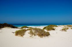 Saadiyat Beach: è considerata la spiaggia ...