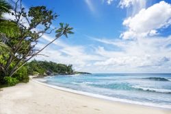 Sabbia bianca e foresta in una spiaggia tropicale a Silhouette Island, Seychelles, Africa - © Serge Vero / Shutterstock.com