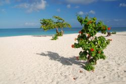 La sabbia bianca della spiaggia di Guardalavaca (Cuba). Siamo nella provincia di Holguìn, nell'oriente cubano.

