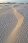 Un particolare delle forme sinuose delle dune che crea la sabbia mossa dal vento nel Parco Nazionale dei Lençois Maranhenses, in Brasile.