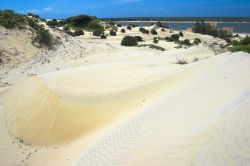 Sabbia e dune sull'isola di Lamu, Kenya - © Hamady / Shutterstock.com