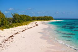 La sabbia rosa di una spiaggia a Eleuthera, Arcipelago delle Bahamas.



