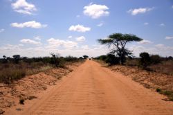 Safari: il Parco Nazionale dello Tsavo (Kenya) è il più grande del paese, con un'estensione di circa 22000 km quadrati. È stato istituito nel 1948.