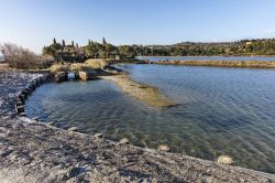 Salina di Strugnano (Strunjan), siamo in Istria, nella parte della Slovenia