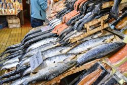 Salmoni in vendita all'Angelmo Fish Market di Puerto Montt, Cile.
