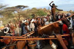 Un ragazzino intento a praticare il salto del toro a Turmi, Etiopia. Quando un ragazzo raggiunge l'età per diventare uomo deve superare una cerimonia d'iniziazione chiamata "salto ...