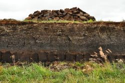 Scavo per la raccolta della torba a Lewis and Harris, Scozia - Un particolare degli scavi realizzati in un campo dell'isola per raccogliere la torba © M Rutherford / Shutterstock.com ...