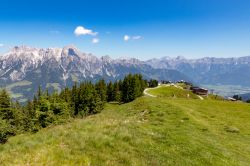 Scenario alpino estivo a Leogang, Austria: prati, foreste e le Alpi sullo sfondo.
