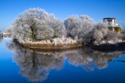 Scenario invernale in un parco della città di Limerick, Irlanda. Gli alberi ricoperti da uno strato di brina si rispecchiano nelle acque di questo suggestivo laghetto dalle tonalità ...