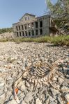 Scheletro di un animale di fronte all'antica prigione femminile dell'isola di Prvic, Croazia.


