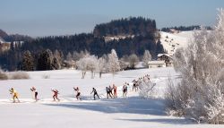 Sci di fondo in inverno nei dintorni di Imer - © Markus Bernet - CC BY-SA 2.5, Wikipedia