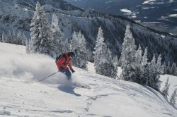 Sciatore freeride sui monti di Revelstoke, Canada.

