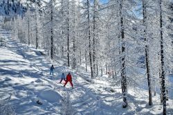 Sciatori allo ski resort del Monginevro, Francia: una suggestiva immagine del panorama innevato di questa località situata a un'altitudine di 1860 metri - © MikeDotta / Shutterstock.com ...