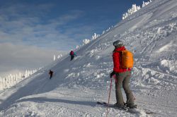 Sciatori sui monti innevati di Revelstoke, British Columbia (Canada).
