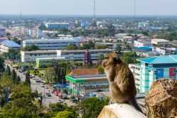 Una scimmia seduta in cima alla Khao Chong Krachok Hill nella città di Prachuap Khiri Khan, Thailandia.
