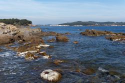 Scogli lungo il litorale a Le Pradet, Costa Azzurra (Francia).
