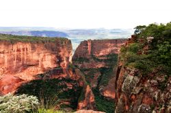 Scogliere a Chapada dos Guimaraes nei pressi di Cuiaba, capitale del Mato Grosso, Brasile. Questo parco nazionale è popolare fra i viaggiatori che vogliono vedere canyon, cascate e fauna ...