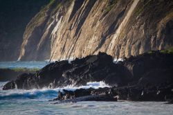 Conosciute anche con il nome di Arcipelago di Colombo, le Isole Galapagos sono di origine vulcanica, e grazie alla loro posizione defilate non sono mai state abitate dall'uomo, per lo meno ...