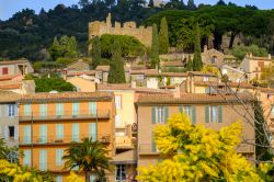 Uno scorcio del borgo e del castello di Bormes-les-Mimosas, Provenza, in inverno. In primo piano, un ramo di mimosa.

