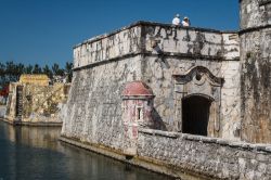 Uno scorcio del forte San Juan de Ulua nella città di Veracruz, Messico. Venne costruito dagli spagnoli nel 1519 sull'isola di Ulua vicino alle coste del Golfo del Messico - © ...