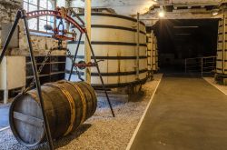 Scorcio della distilleria Otard a Cognac, Francia. Qui si produce la famosa acquavite che solo se proveniente dall'area delimitata dalla Charente può essere chiamata "cognac" ...