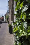 Scorcio di un vicolo di De Rijp in Olanda, uno dei borghi più belli dei Paesi Bassi