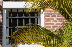 Scorcio di una palma e di una finestra al Surinaams Museum, Paramaribo (Suriname). Questo museo è ospitato all'interno del forte Zeelandia: istituito nel 1947, espone opere etnografiche ...
