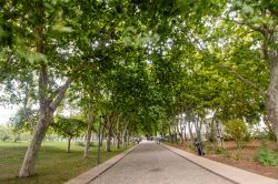 Scorcio fotografico del principale parco cittadino di Loulé, Portogallo.


