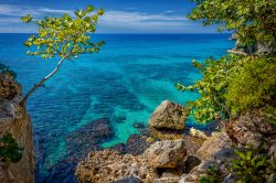Uno scorcio panoramico dell'oceano che lambisce le coste nei pressi di Negril, Giamaica.



