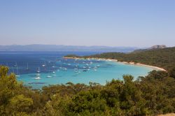 Scorcio panoramico di Bandol, Francia. Vista dall'alto delle colline la natura che caratterizza questo centro del sud della Francia appare ancora più rigogliosa - © Anna Biancoloto ...