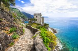 Scorcio panoramico di Monterosso al Mare, Liguria, Italia - Questo antico borgo della riviera di Levante costituisce la più occidentale delle Cinque Terre. Passeggiando lungo il sentiero ...