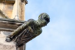 Scultura della collegiata di San Teobaldo a Thann, Alsazia (Francia). La chiesa rappresenta un capolavoro dell'architettura gotica-fiammeggiante del sud del Sacro Romano Impero germanico.
 ...