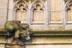 Scultura in pietra di un gatto selvatico che si arrampica su un muro nella città di Oxford, Inghilterra (UK).

