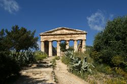 Un cornice di macchia mediterranea attorno al Tempio Greco di Segesta. Gli archeologici non hanno trovato alcuna indicazione relativamente alla divinità cui era stato dedicato il tempio, ...