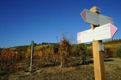 Sentieri tra le colline delle langhe in Piemonte, non lontano da Sinio