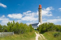 Un sentiero fra la vegetazione rigogliosa accompagna al faro di Belle Ile en Mer, Francia.

