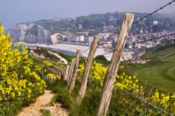 Sentiero fra le colline fiorite della cittadina di Etretat, Normandia, Francia - © Marius GODOI / Shutterstock.com