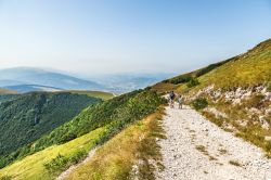 Sentiero nelle colline che circondano Fabriano nelle Marche e che danno occasioni di trekking e passeggiate ai turisti - © Olgysha / Shutterstock.com