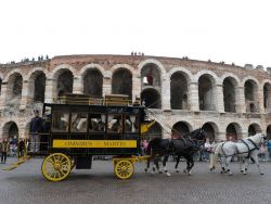 Sfilata di carrozze a Verona, durante la manifestazione di Fieracavalli